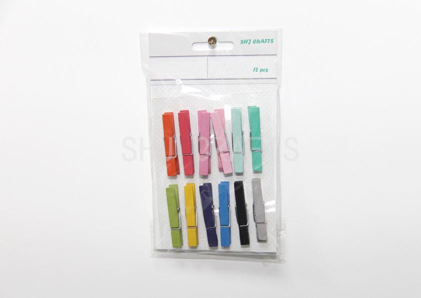 SHJ00949 Clothespins 12 pc